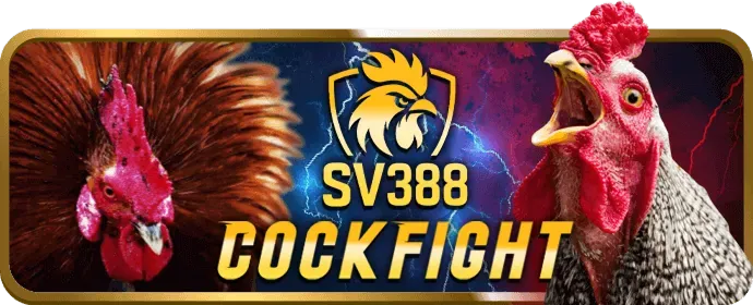Quy trình đăng nhập Betking